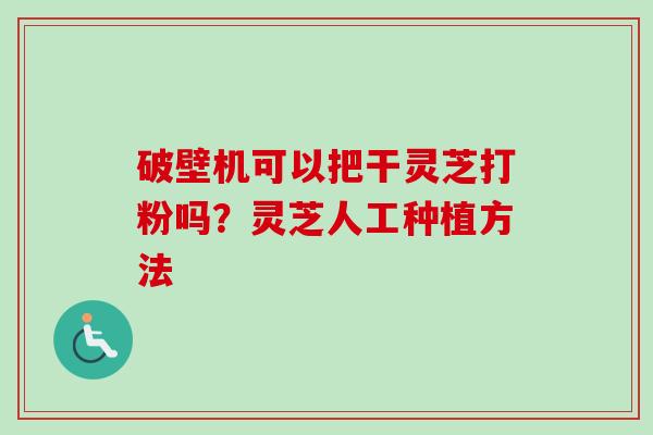 破壁机可以把干灵芝打粉吗？灵芝人工种植方法