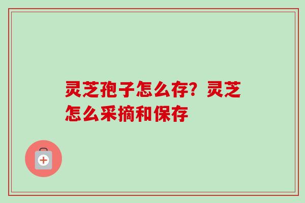 灵芝孢子怎么存？灵芝怎么采摘和保存