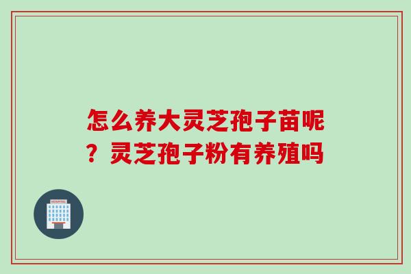 怎么养大灵芝孢子苗呢？灵芝孢子粉有养殖吗
