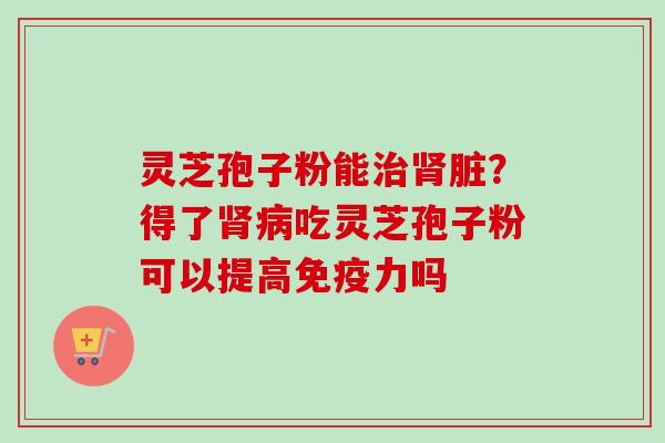 灵芝孢子粉能治肾脏？得了肾病吃灵芝孢子粉可以提高免疫力吗