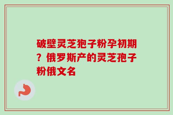 破壁灵芝狍子粉孕初期？俄罗斯产的灵芝孢子粉俄文名