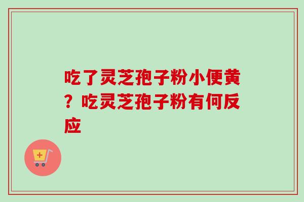 吃了灵芝孢子粉小便黄？吃灵芝孢子粉有何反应
