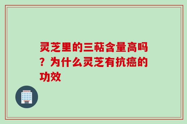 灵芝里的三萜含量高吗？为什么灵芝有抗癌的功效