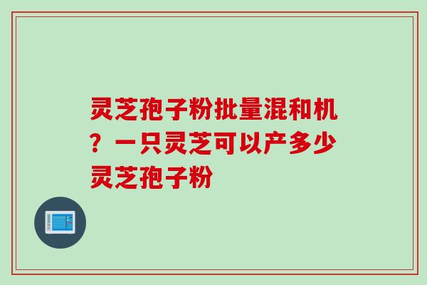 灵芝孢子粉批量混和机？一只灵芝可以产多少灵芝孢子粉