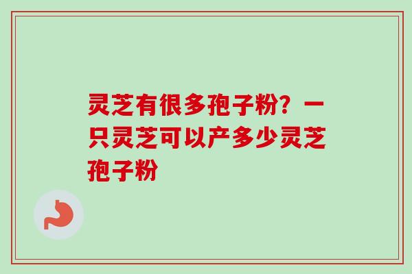 灵芝有很多孢子粉？一只灵芝可以产多少灵芝孢子粉