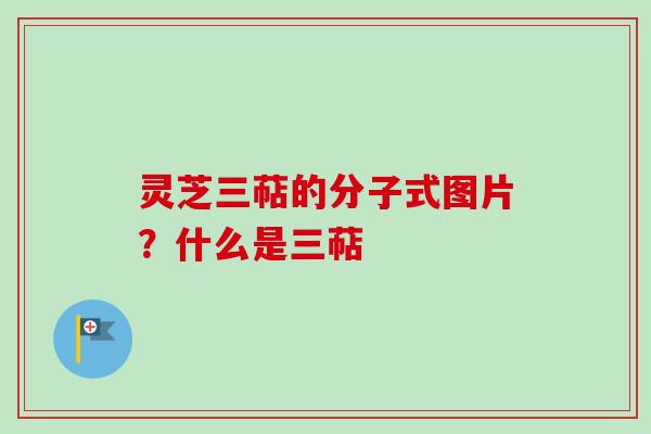 灵芝三萜的分子式图片？什么是三萜
