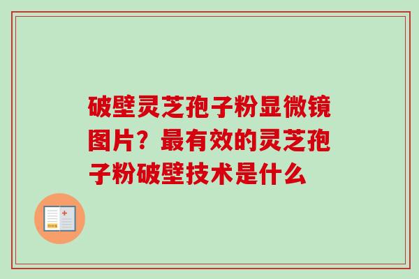 破壁灵芝孢子粉显微镜图片?有效的灵芝孢子粉破壁技术是什么 破壁灵芝孢子粉显微镜图片?有效的灵芝孢子粉破壁技术是什么