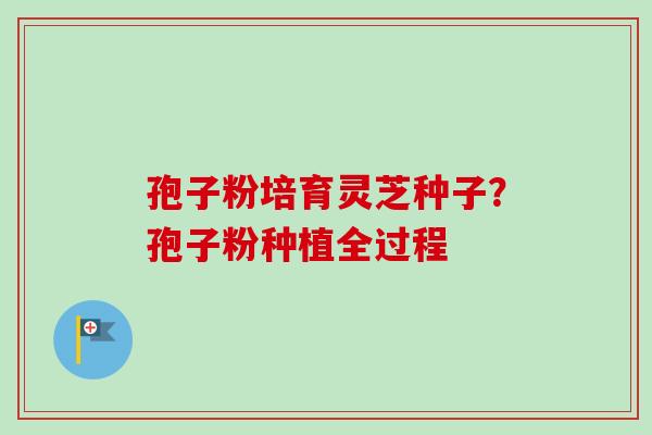 孢子粉培育灵芝种子？孢子粉种植全过程