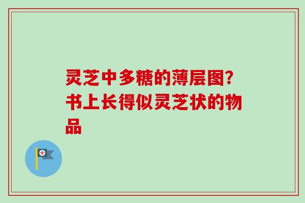 灵芝中多糖的薄层图？书上长得似灵芝状的物品