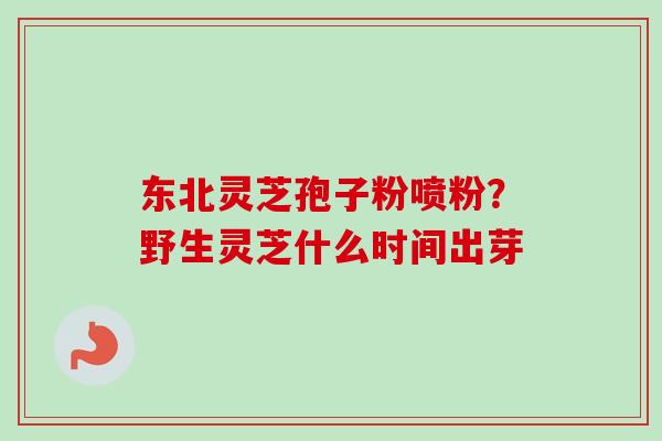 东北灵芝孢子粉喷粉？野生灵芝什么时间出芽