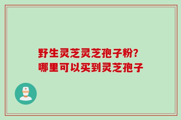 野生灵芝灵芝孢子粉？哪里可以买到灵芝孢子