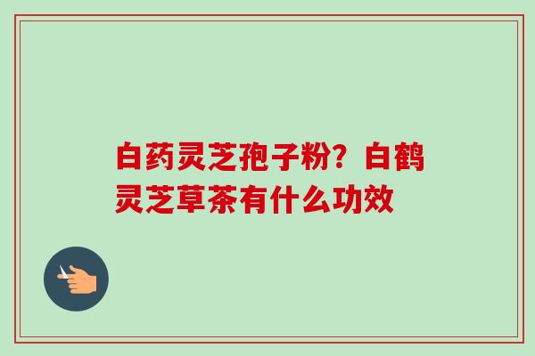 白药灵芝孢子粉？白鹤灵芝草茶有什么功效
