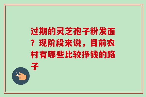 过期的灵芝孢子粉发面？现阶段来说，目前农村有哪些比较挣钱的路子