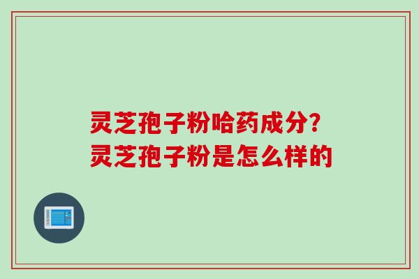 灵芝孢子粉哈药成分？灵芝孢子粉是怎么样的