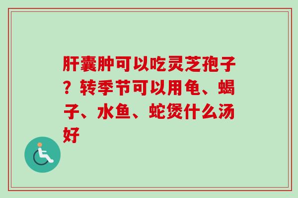 肝囊肿可以吃灵芝孢子？转季节可以用龟、蝎子、水鱼、蛇煲什么汤好