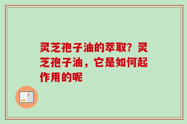 灵芝孢子油的萃取？灵芝孢子油，它是如何起作用的呢