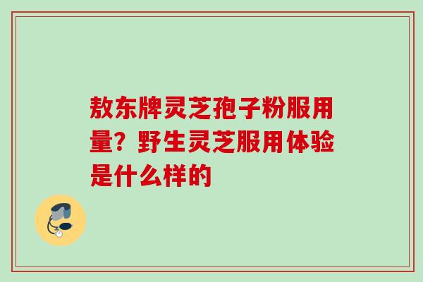 敖东牌灵芝孢子粉服用量？野生灵芝服用体验是什么样的