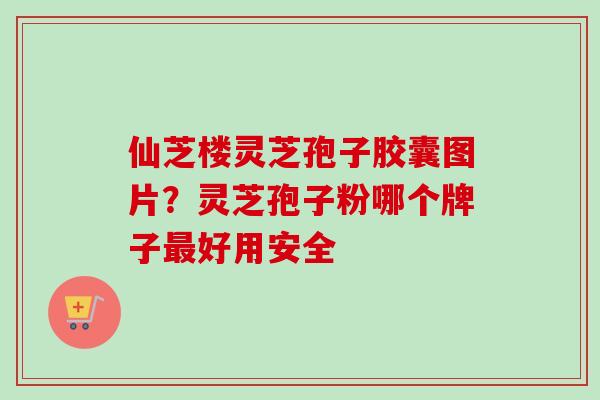 仙芝楼灵芝孢子胶囊图片？灵芝孢子粉哪个牌子最好用安全