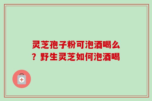 灵芝孢子粉可泡酒喝么?野生灵芝如何泡酒喝 灵芝孢子粉可泡酒喝么?野生灵芝如何泡酒喝