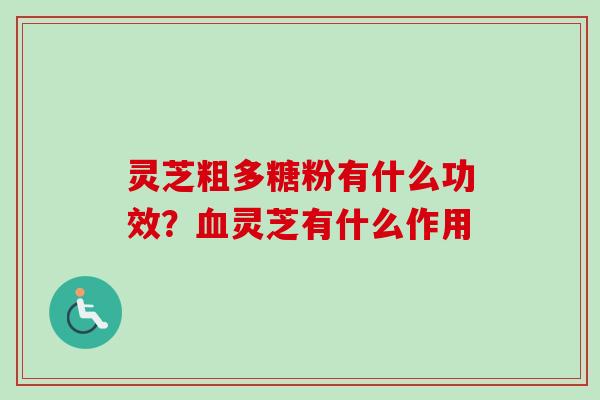灵芝粗多糖粉有什么功效？血灵芝有什么作用
