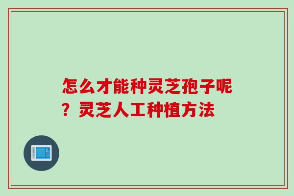怎么才能种灵芝孢子呢？灵芝人工种植方法