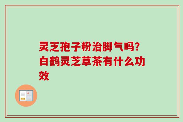 灵芝孢子粉治脚气吗？白鹤灵芝草茶有什么功效