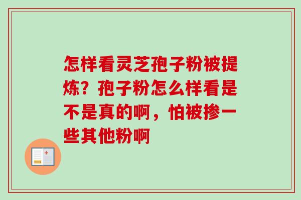 怎样看灵芝孢子粉被提炼？孢子粉怎么样看是不是真的啊，怕被掺一些其他粉啊