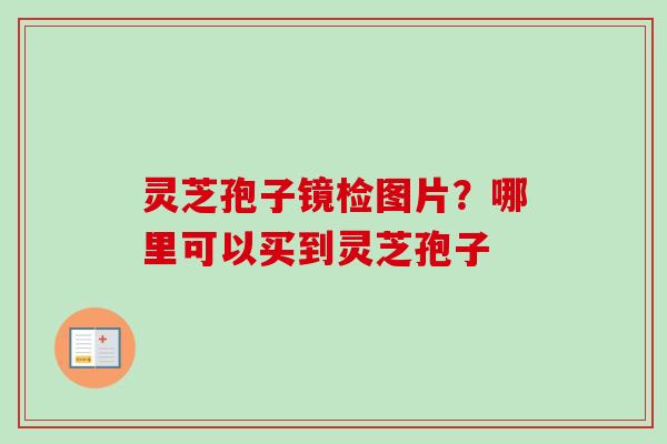 灵芝孢子镜检图片？哪里可以买到灵芝孢子