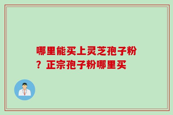 哪里能买上灵芝孢子粉？正宗孢子粉哪里买