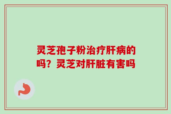 灵芝孢子粉治疗肝病的吗？灵芝对肝脏有害吗