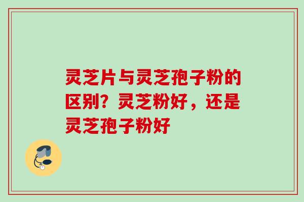灵芝片与灵芝孢子粉的区别？灵芝粉好，还是灵芝孢子粉好