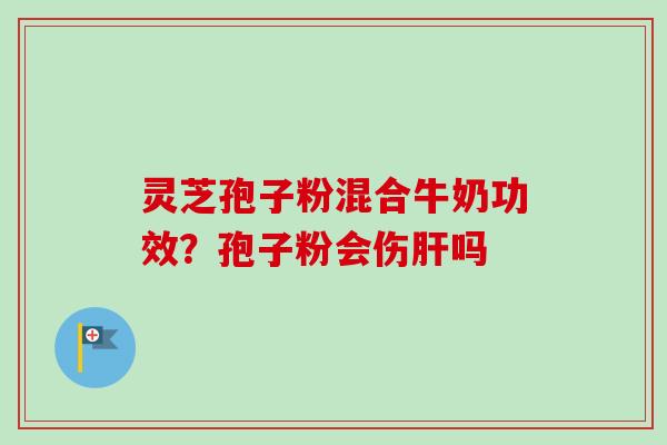 灵芝孢子粉混合牛奶功效?孢子粉会伤吗 灵芝孢子粉混合牛奶功效?孢子粉会伤吗