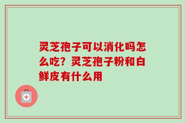 灵芝孢子可以消化吗怎么吃？灵芝孢子粉和白鲜皮有什么用
