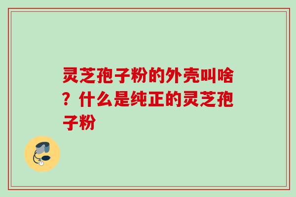 灵芝孢子粉的外壳叫啥？什么是纯正的灵芝孢子粉