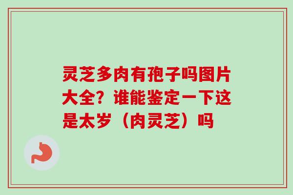 灵芝多肉有孢子吗图片大全？谁能鉴定一下这是太岁（肉灵芝）吗
