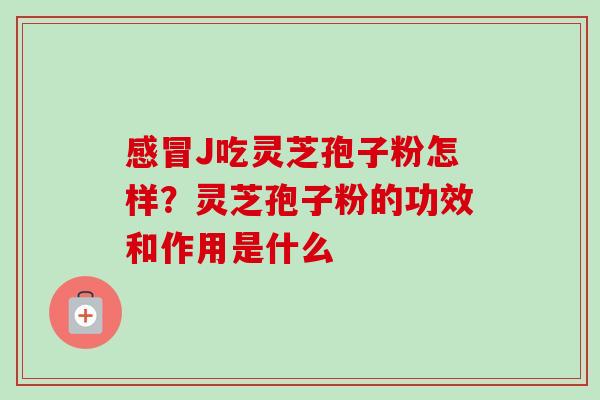 感冒J吃灵芝孢子粉怎样？灵芝孢子粉的功效和作用是什么