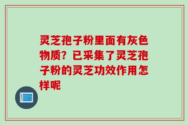 灵芝孢子粉里面有灰色物质?已采集了灵芝孢子粉的灵芝功效作用怎样呢 灵芝孢子粉里面有灰色物质?已采集了灵芝孢子粉的灵芝功效作用怎样呢