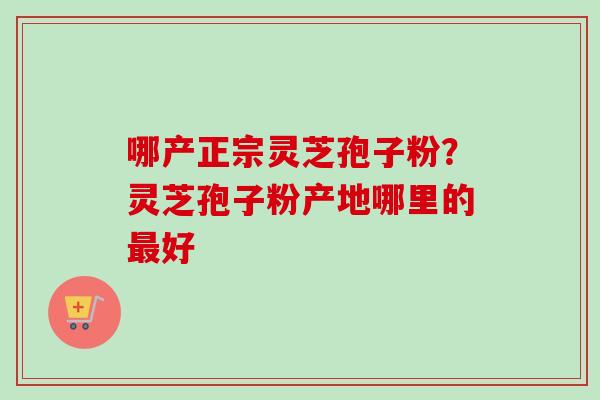 哪产正宗灵芝孢子粉？灵芝孢子粉产地哪里的最好