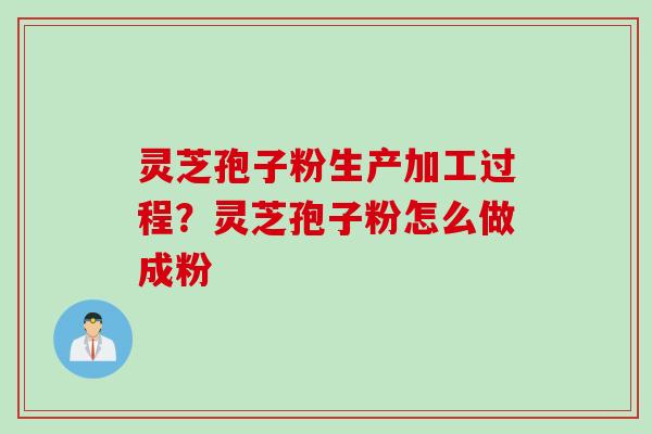 灵芝孢子粉生产加工过程？灵芝孢子粉怎么做成粉
