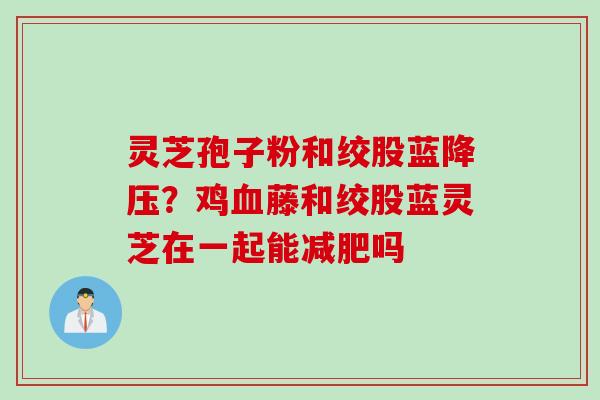 灵芝孢子粉和绞股蓝？鸡藤和绞股蓝灵芝在一起能吗
