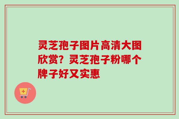 灵芝孢子图片高清大图欣赏？灵芝孢子粉哪个牌子好又实惠