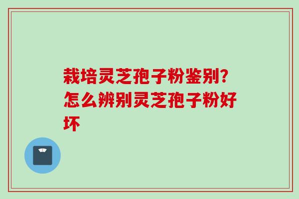 栽培灵芝孢子粉鉴别?怎么辨别灵芝孢子粉好坏 栽培灵芝孢子粉鉴别?怎么辨别灵芝孢子粉好坏