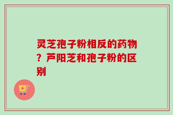 灵芝孢子粉相反的?芦阳芝和孢子粉的区别 灵芝孢子粉相反的?芦阳芝和孢子粉的区别