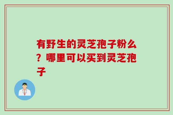 有野生的灵芝孢子粉么?哪里可以买到灵芝孢子 有野生的灵芝孢子粉么?哪里可以买到灵芝孢子