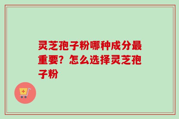 灵芝孢子粉哪种成分最重要？怎么选择灵芝孢子粉
