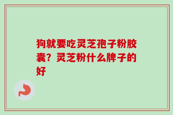 狗就要吃灵芝孢子粉胶囊？灵芝粉什么牌子的好