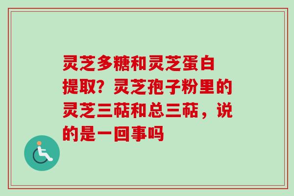 灵芝多糖和灵芝蛋白 提取？灵芝孢子粉里的灵芝三萜和总三萜，说的是一回事吗