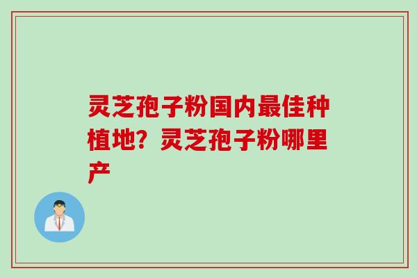 灵芝孢子粉国内最佳种植地？灵芝孢子粉哪里产