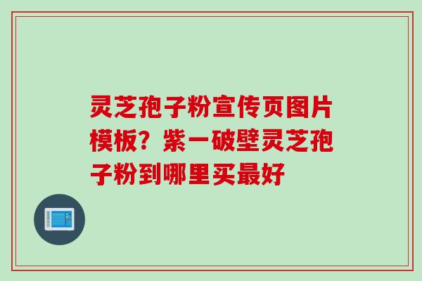 灵芝孢子粉宣传页图片模板？紫一破壁灵芝孢子粉到哪里买最好