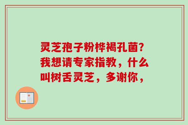 灵芝孢子粉桦褐孔菌？我想请专家指教，什么叫树舌灵芝，多谢你，